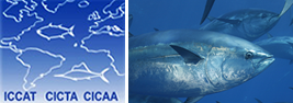 International Commission for the Conservation of Atlantic Tunas ( ICCAT)