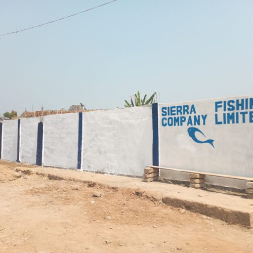 SIERRA FISHING COMPANY INSTALLS COLD ROOM FACILITY IN KAILAHUN