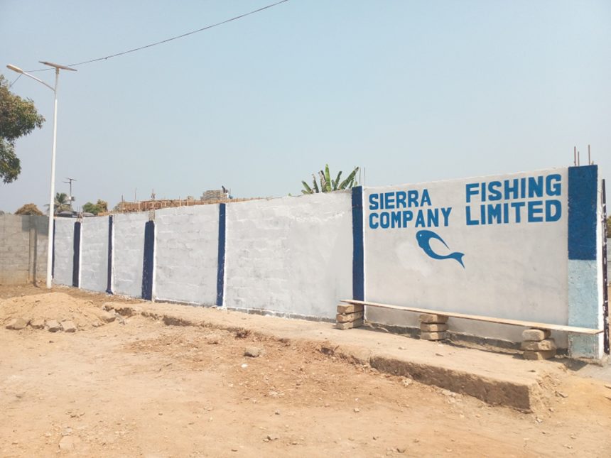 SIERRA FISHING COMPANY INSTALLS COLD ROOM FACILITY IN KAILAHUN